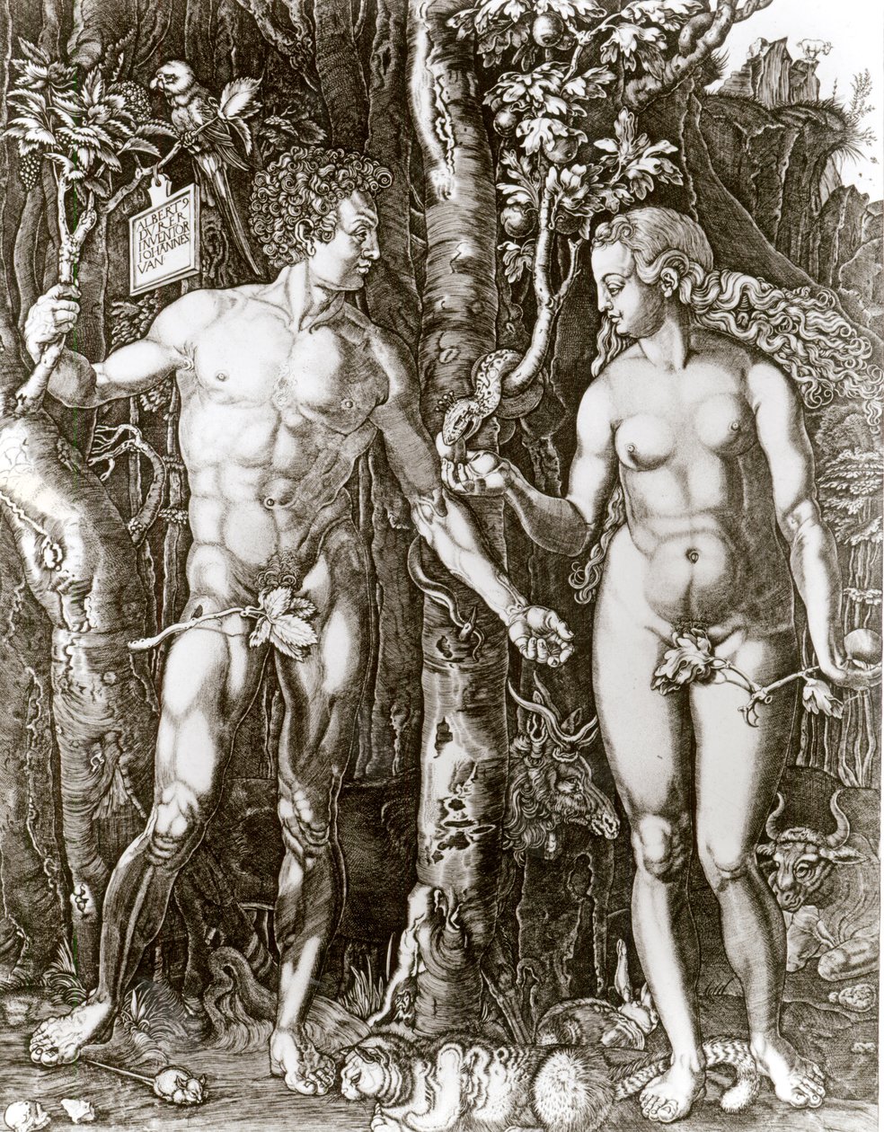Ádám és Éva Albrecht Durer (1471-1528) nyomán alkotó: Johann Ladenspelder