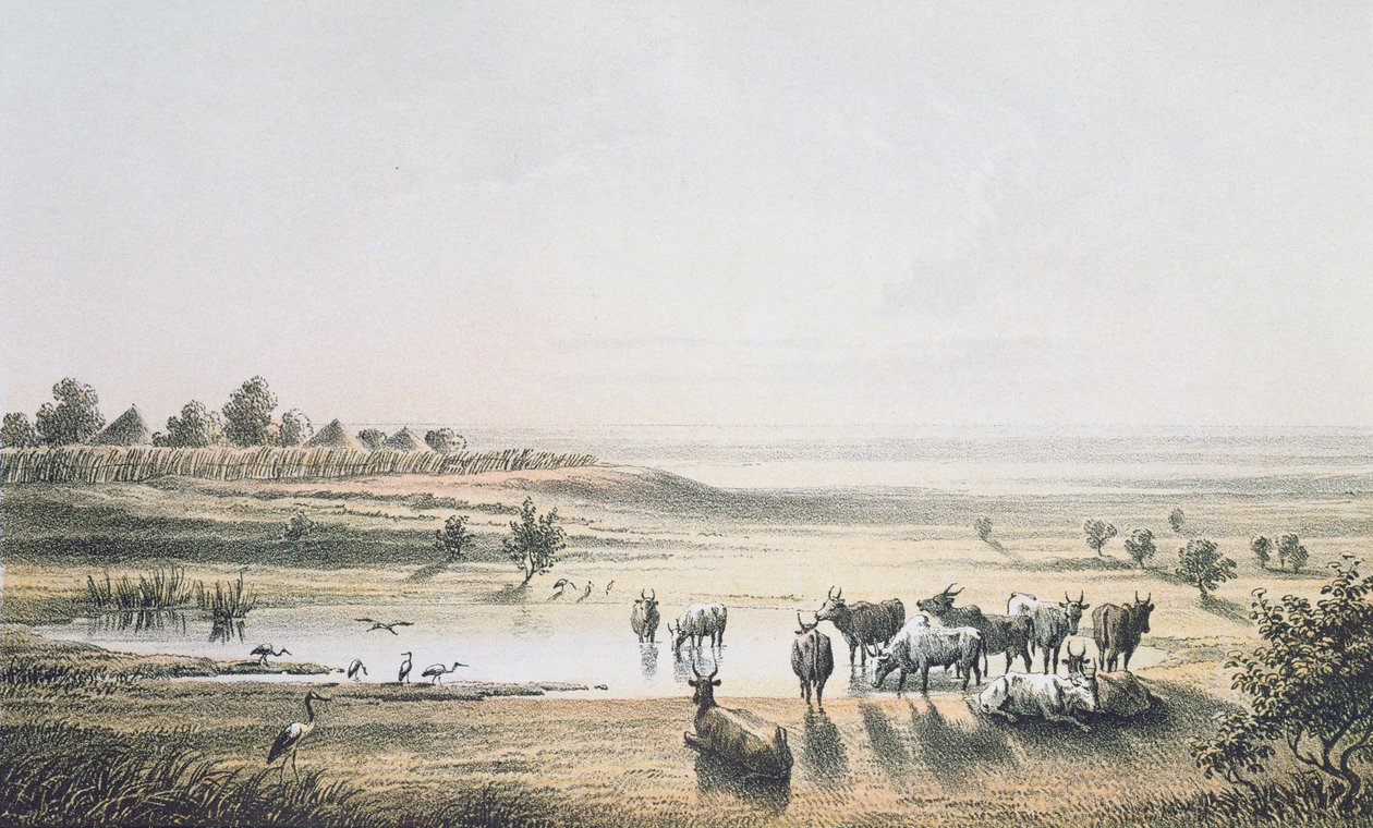 Csád határai 1851-ben, Heinrich Barth „Utazások és felfedezések Észak- és Közép-Afrikában” című művéből, J. Woelfjle metszete, 1857-ben megjelent (színes metszet) alkotó: Johann Martin Bernatz