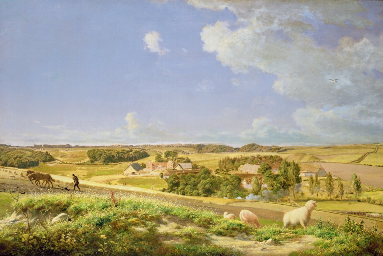 Erdős Táj alkotó: Johan Frederick Moller