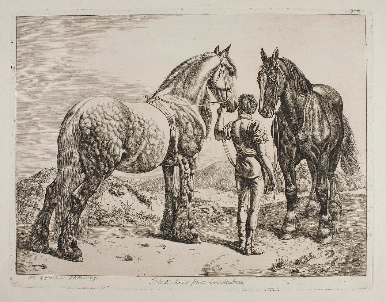 Fekete lovak Lincolnshire-ből alkotó: Johann Adam Klein