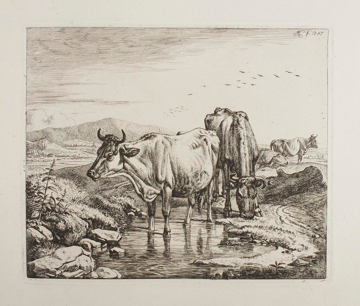 Szarvasmarhák egy itatónál alkotó: Johann Adam Klein