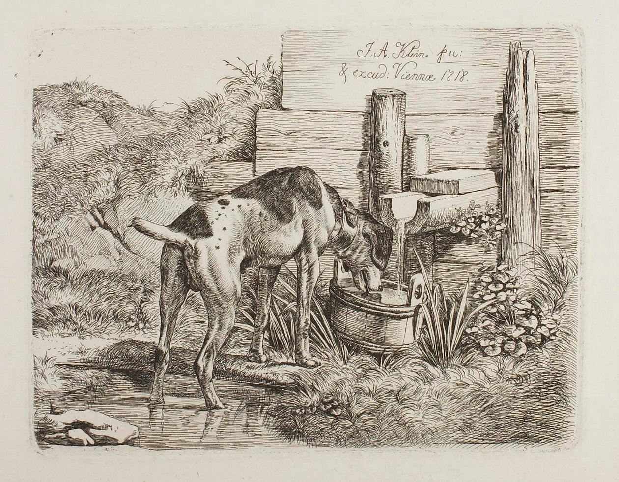 Kutyák ivóvize alkotó: Johann Adam Klein