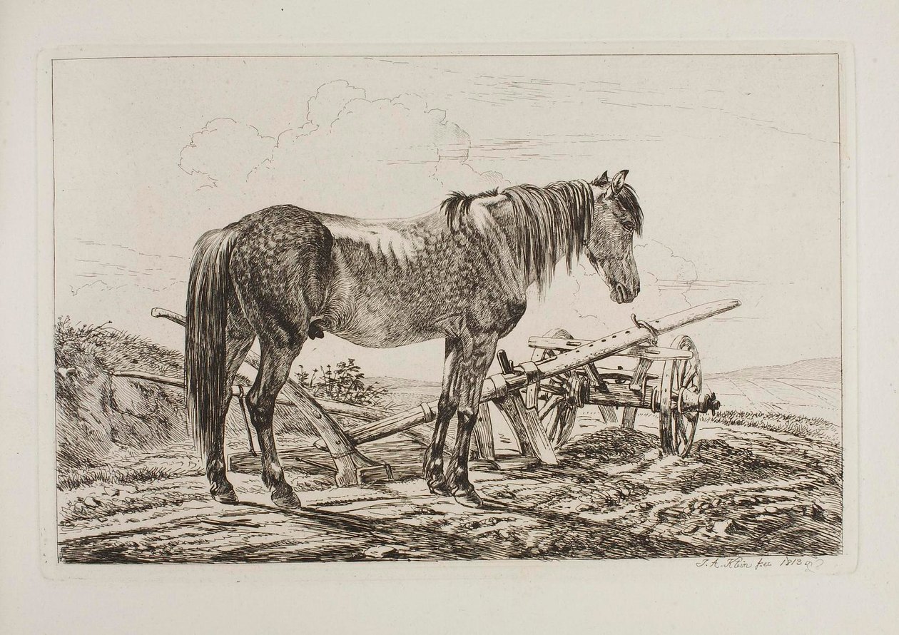 Ló az eke mellett alkotó: Johann Adam Klein