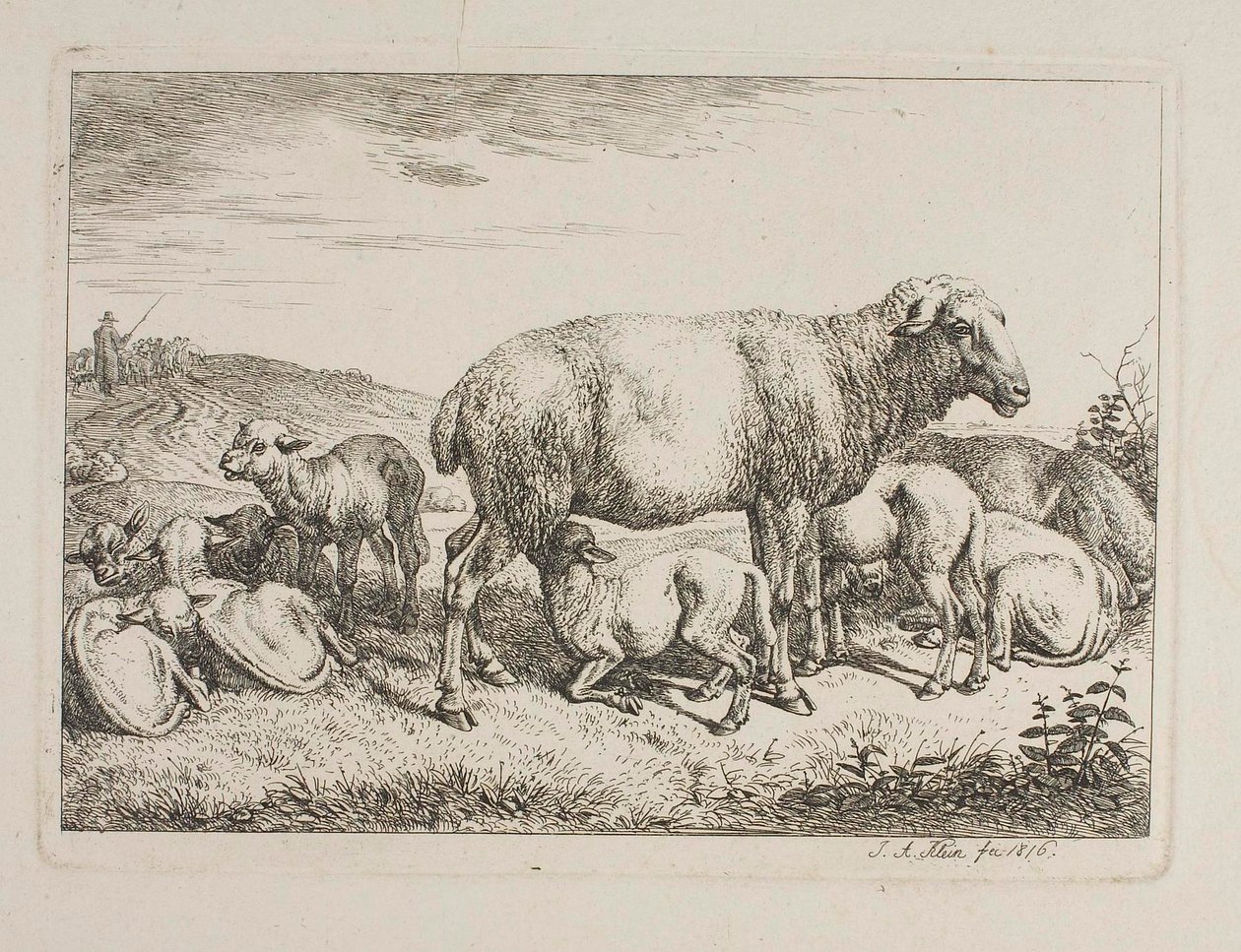 Anyajuhok bárányaikkal alkotó: Johann Adam Klein