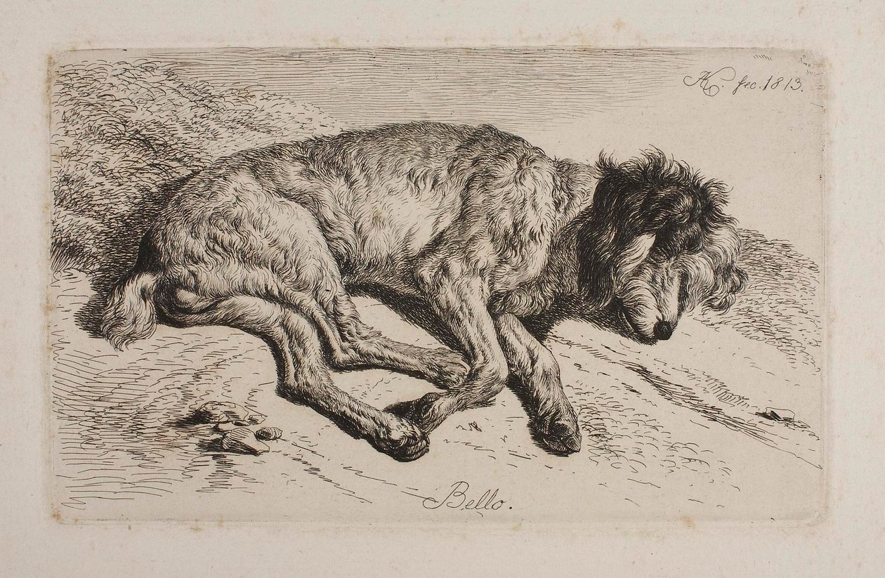 Alvó kutya, Bello alkotó: Johann Adam Klein