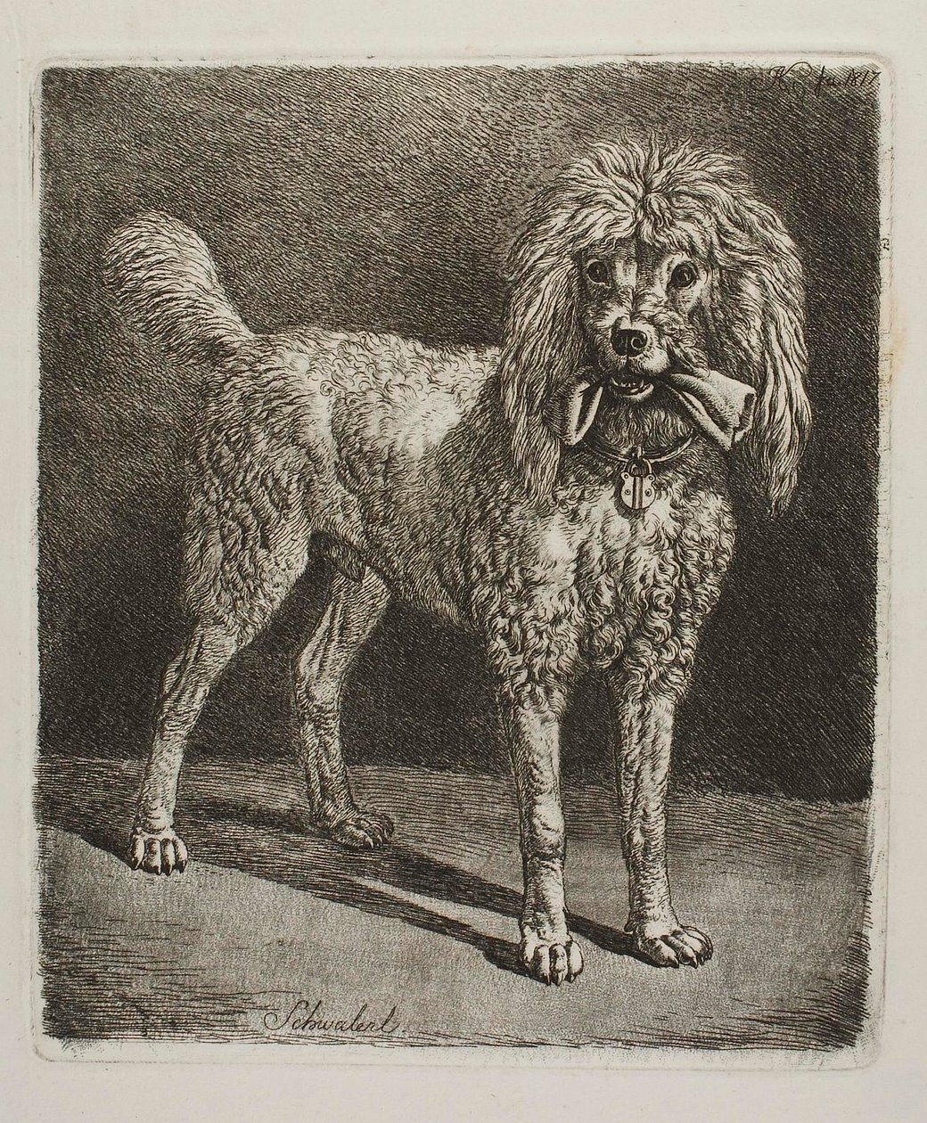 Schwalerl, az uszkár alkotó: Johann Adam Klein