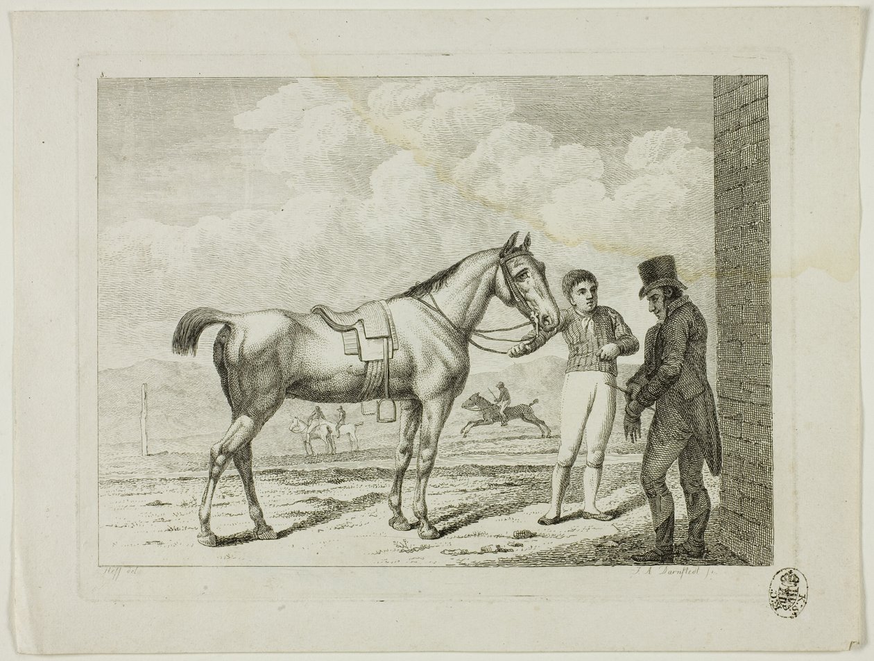 Lovasiskola és lovak alkotó: Johann Adolph Darnstedt