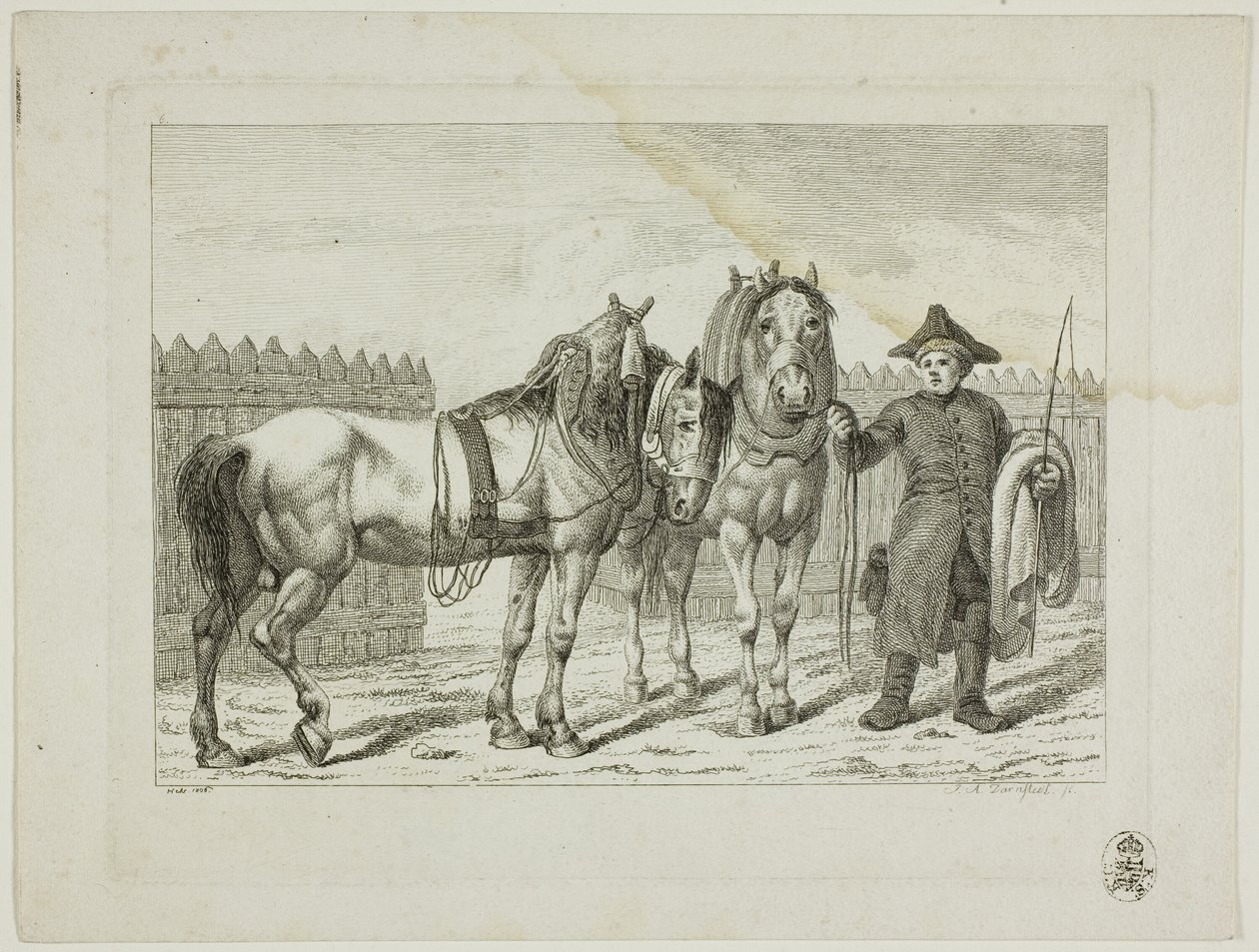 Lovasiskola és lovak alkotó: Johann Adolph Darnstedt