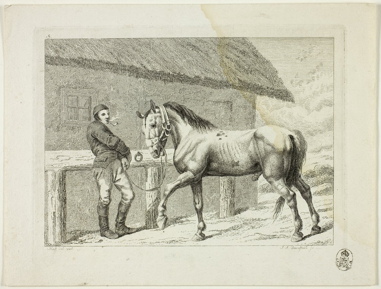 Lovasiskola és lovak alkotó: Johann Adolph Darnstedt