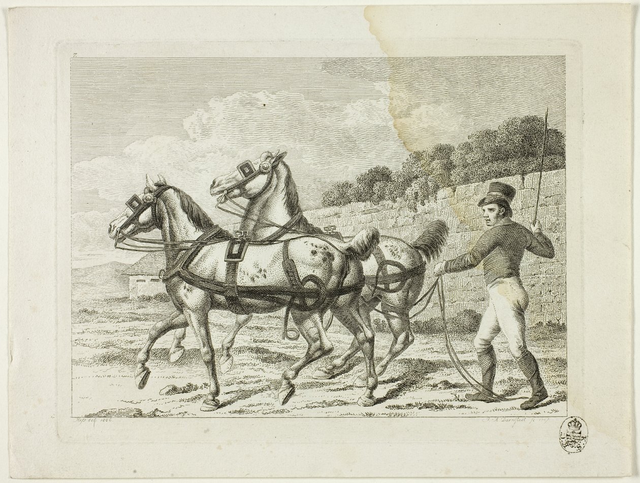 Lovasiskola és lovak alkotó: Johann Adolph Darnstedt