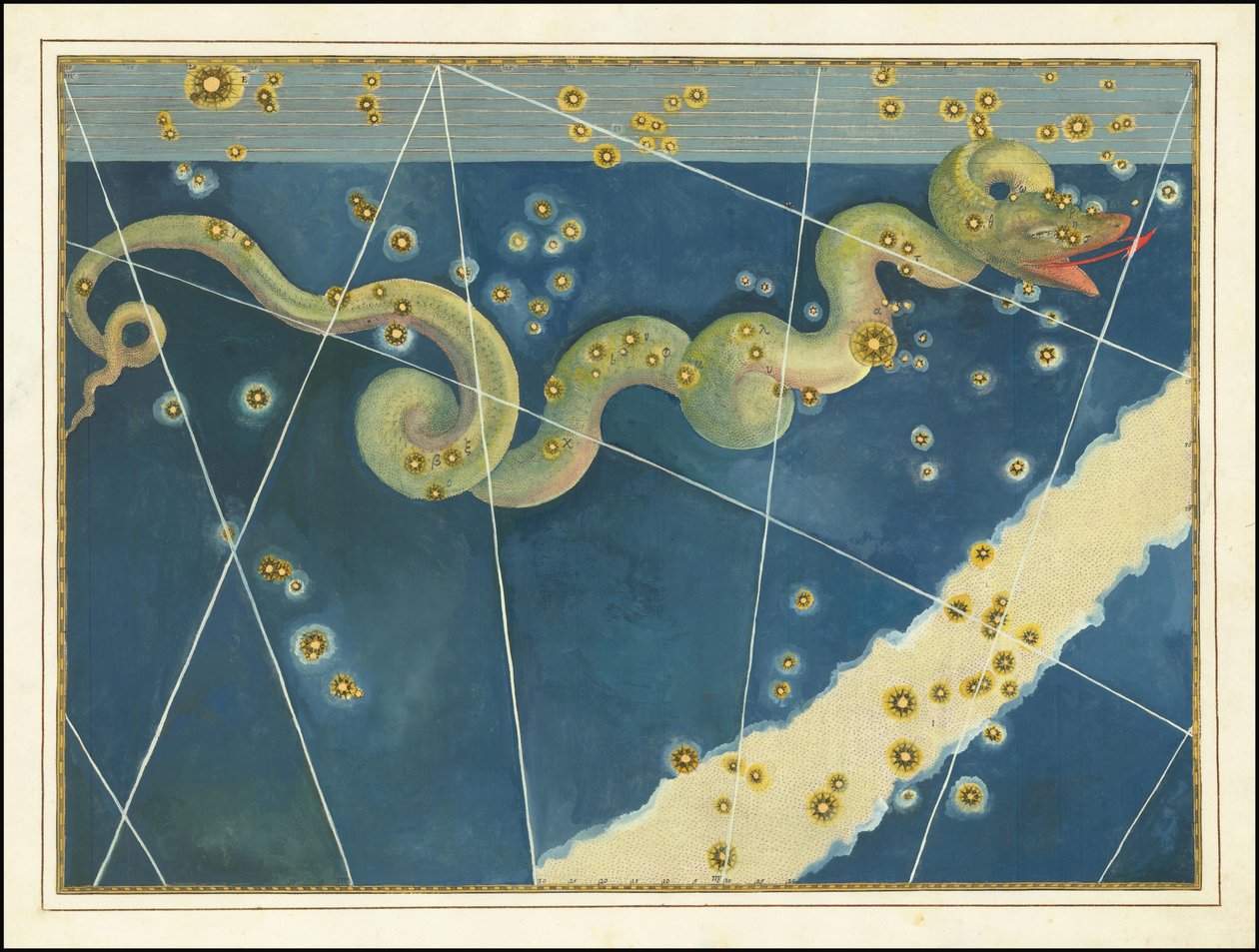 Hydra - Johann Bayer alkotó: Johann Bayer