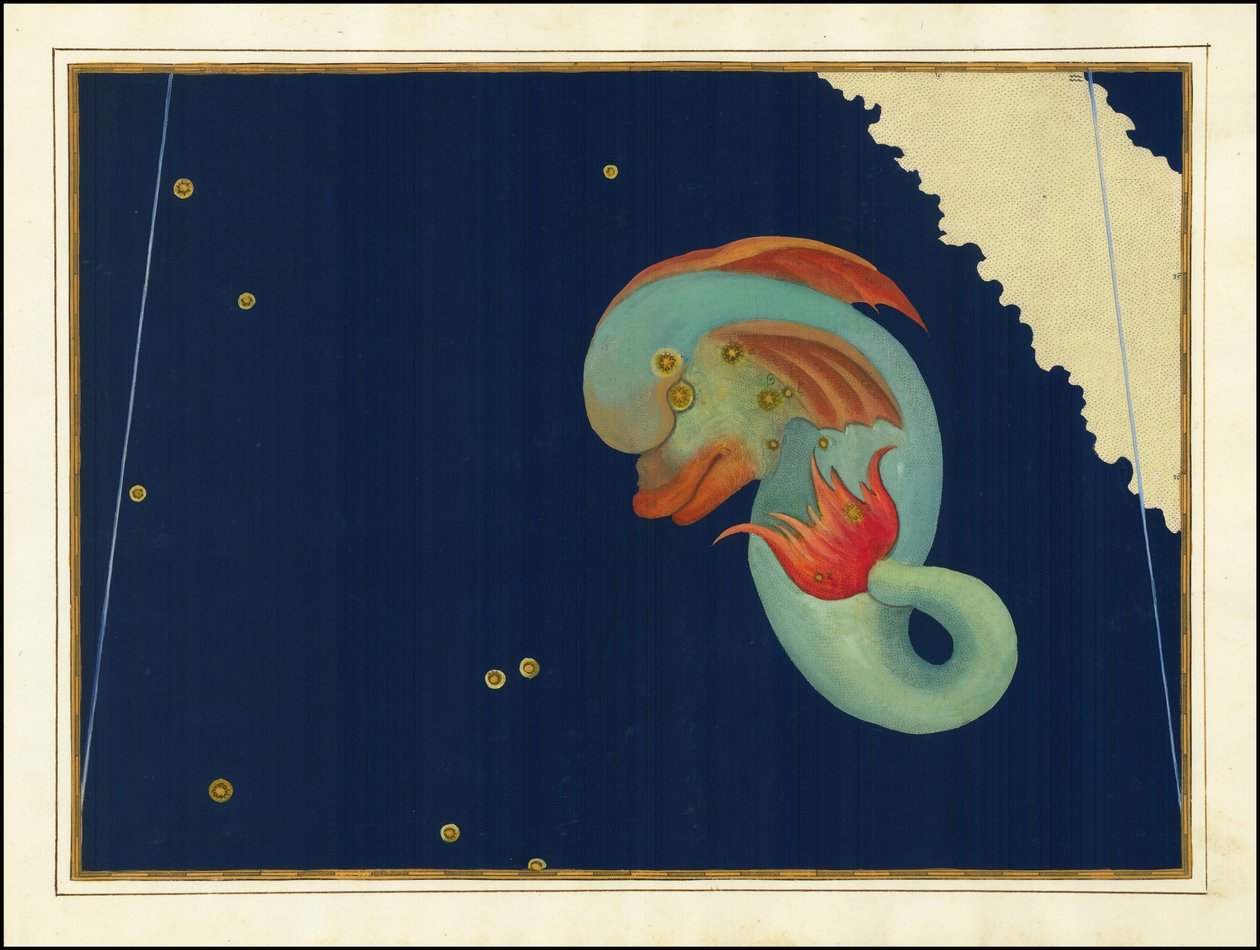 Johann Bayer, Delphinus alkotó: Johann Bayer