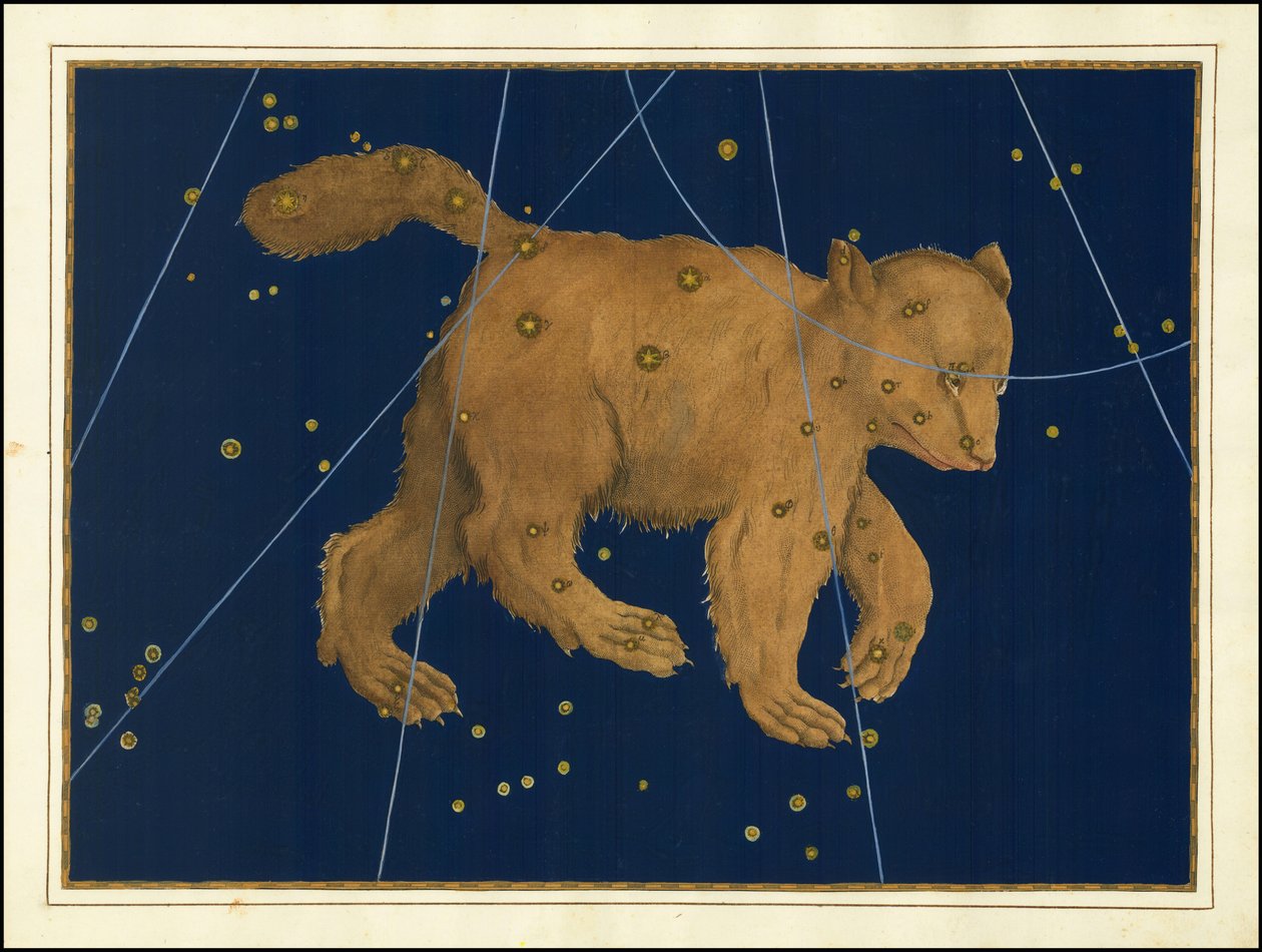 Johann Bayer, Ursa Major alkotó: Johann Bayer