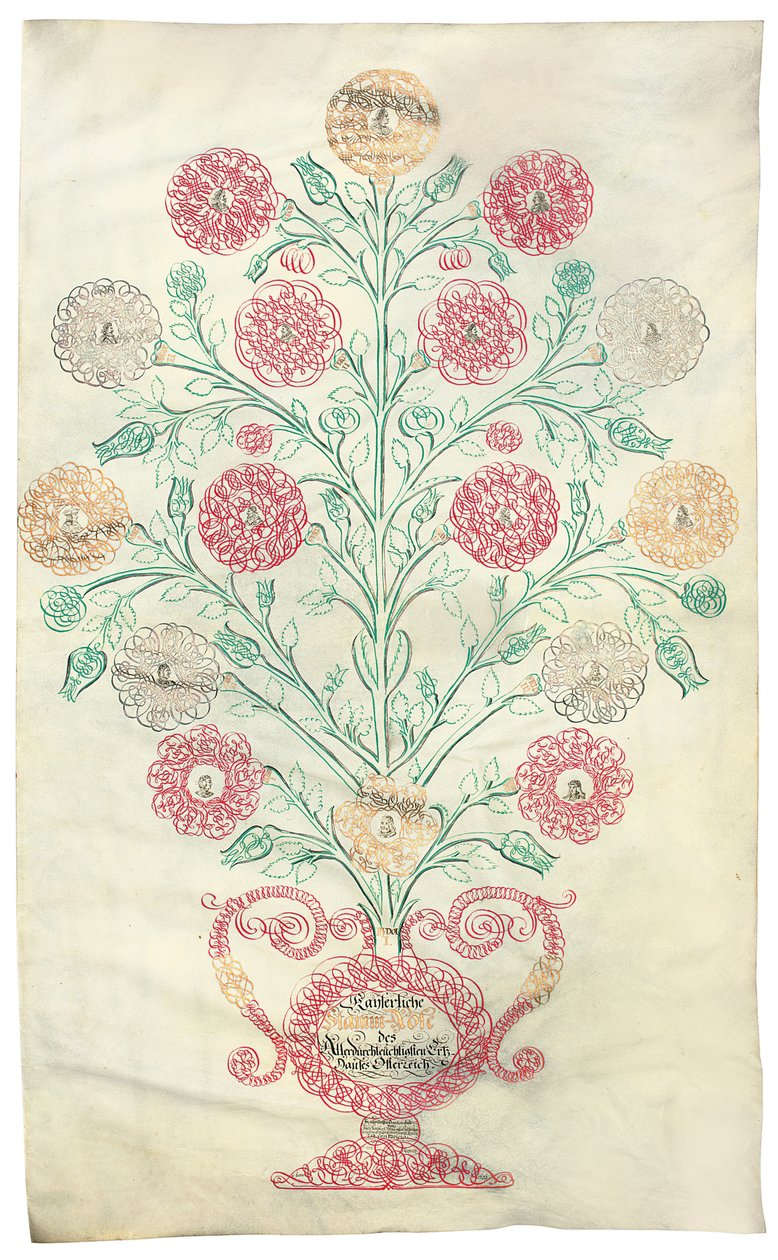 "A rózsa" családfa, amelyet VI. Károly császárnak ajándékoztak, 1731 alkotó: Johann Carl Paricius