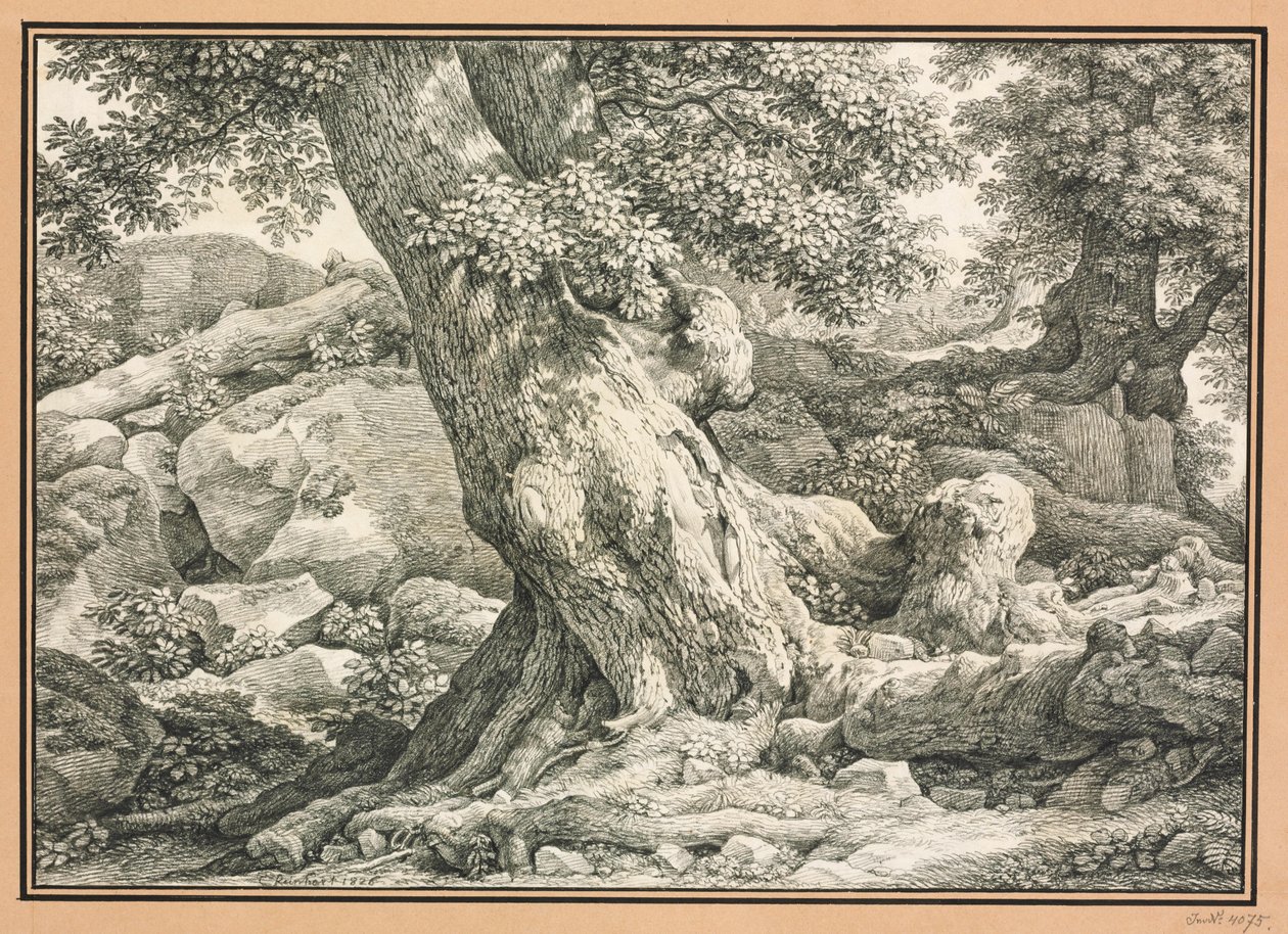 Fakutatás sziklás terepen alkotó: Johann Christian Reinhart