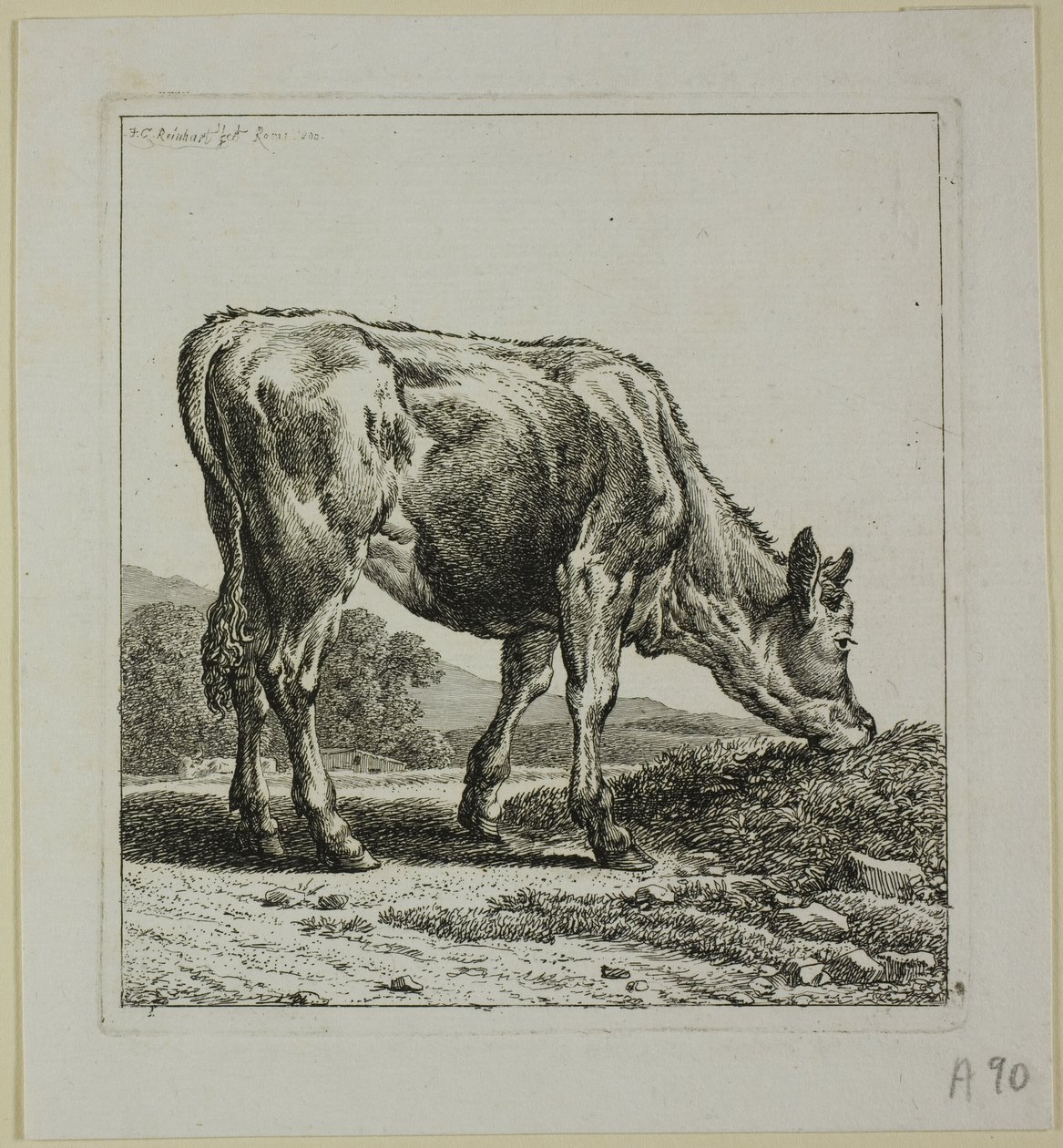 Borjúetetés, a Die Zweite Thierfolge-tól alkotó: Johann Christian Reinhart