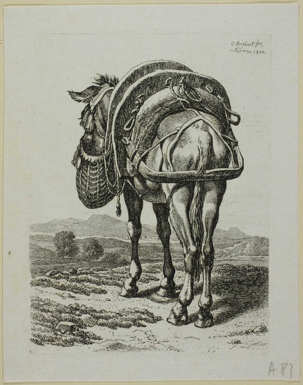Etetőöszvér - Hátsó, A tolvajok második sorozatából alkotó: Johann Christian Reinhart
