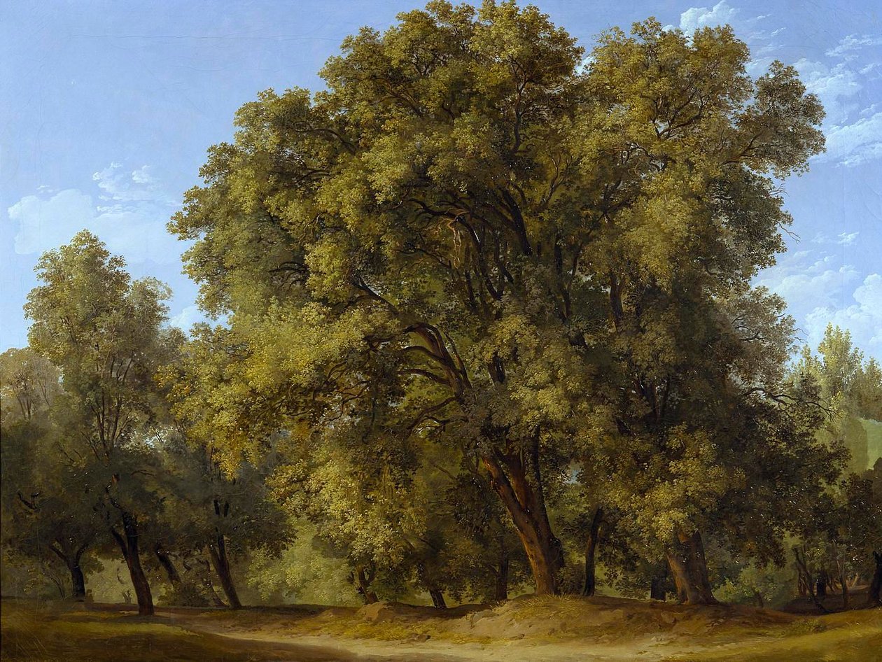 Erdői jelenet alkotó: Johann Christian Reinhart