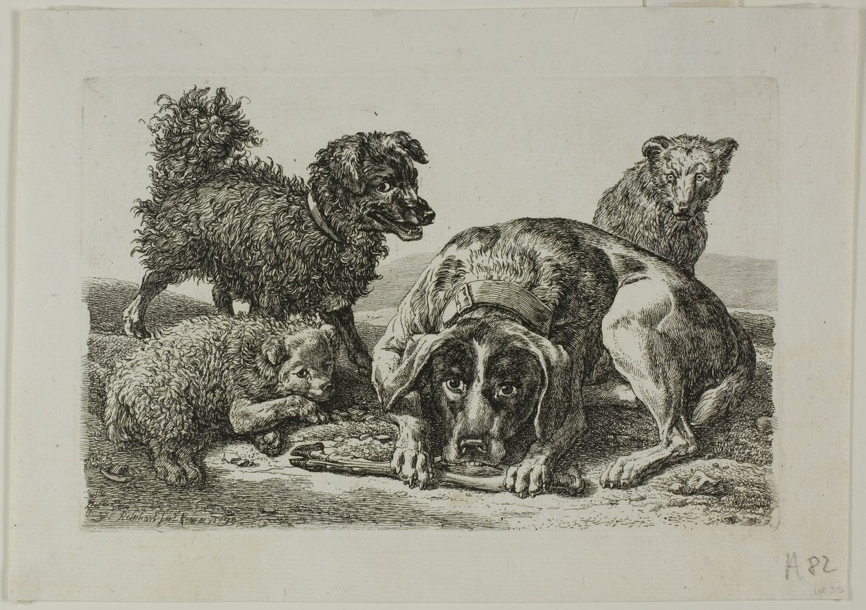 Négy kutya, a Die Zweite Thierfolge-tól alkotó: Johann Christian Reinhart