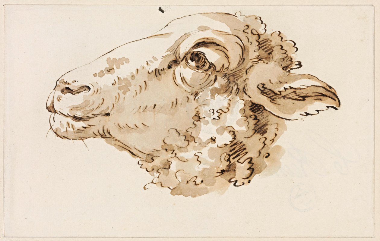 Balra néző juhfej alkotó: Johann Christian Reinhart