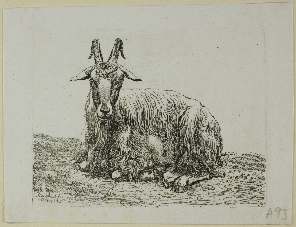 Fekvő kecske, a Die Zweite Thiernahme-ból alkotó: Johann Christian Reinhart