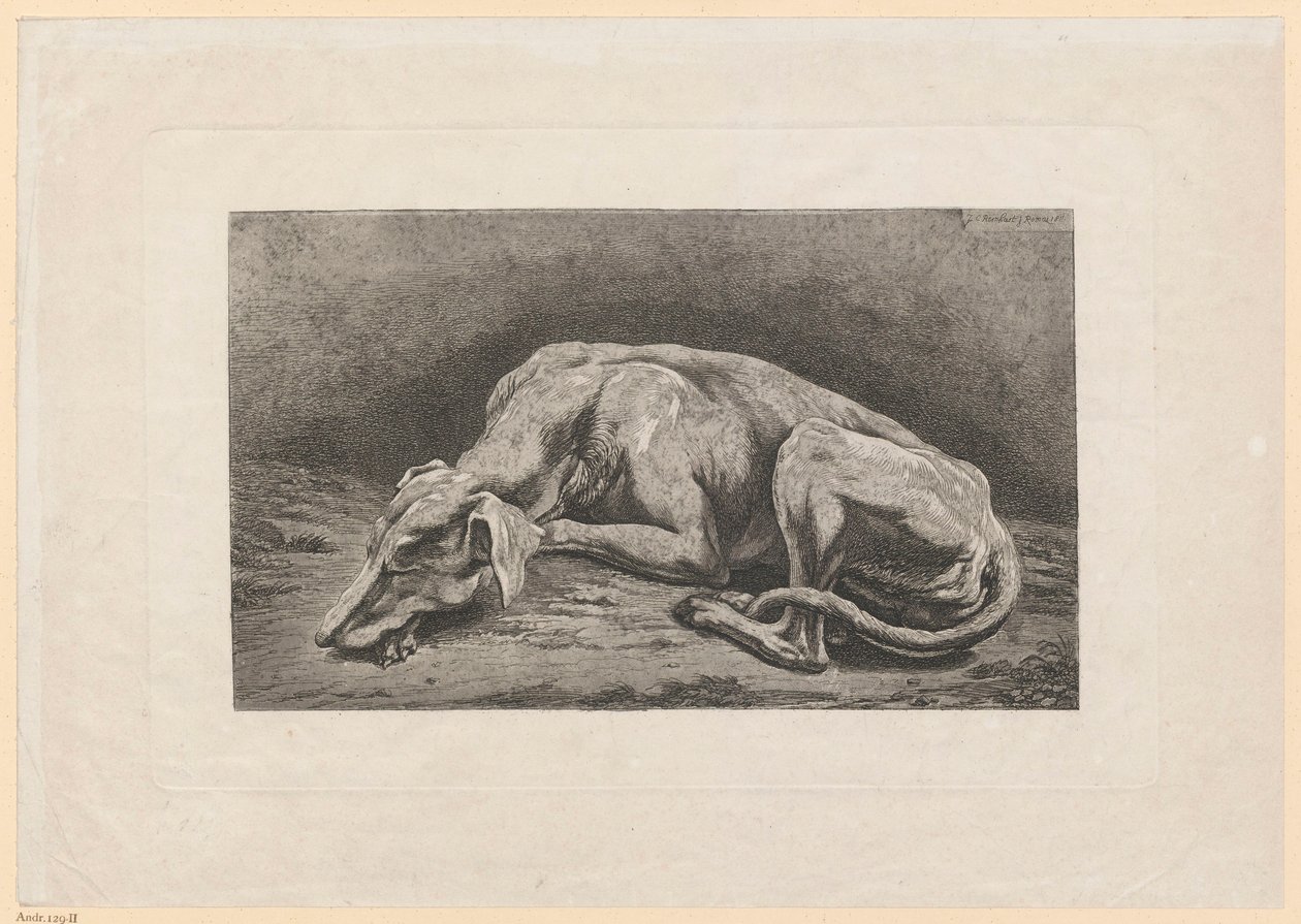 Alvó agár alkotó: Johann Christian Reinhart