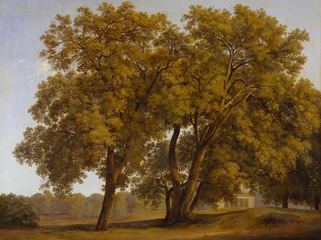 A Villa Borghese kertjében álló fák alkotó: Johann Christian Reinhart