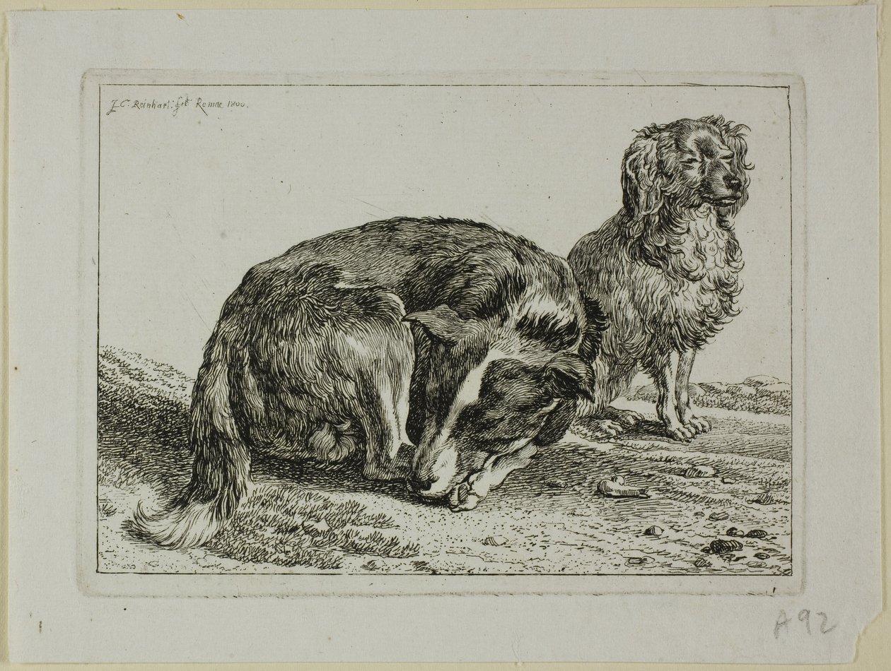 Két kutya pihen, a Die Zweite Thier Folge-tól alkotó: Johann Christian Reinhart