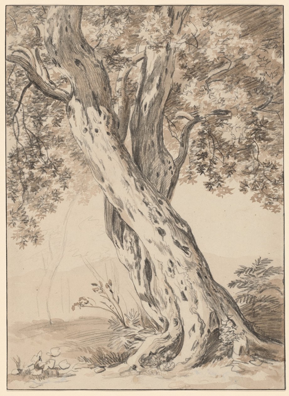 Két egymásba fonódó tölgyfa alkotó: Johann Christian Reinhart