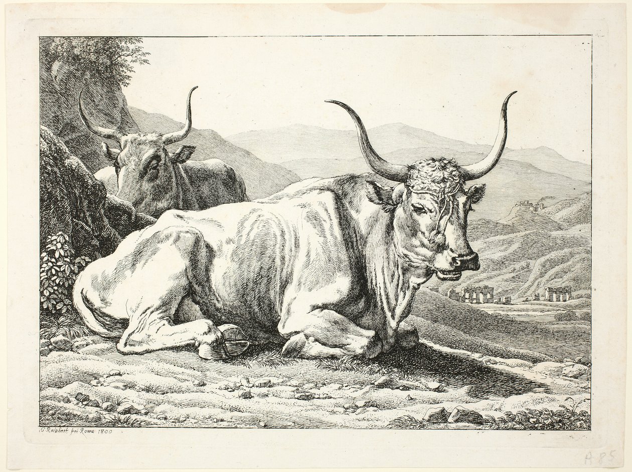 Két római bika pihen, a Die Zweite The Erfolge-ból alkotó: Johann Christian Reinhart