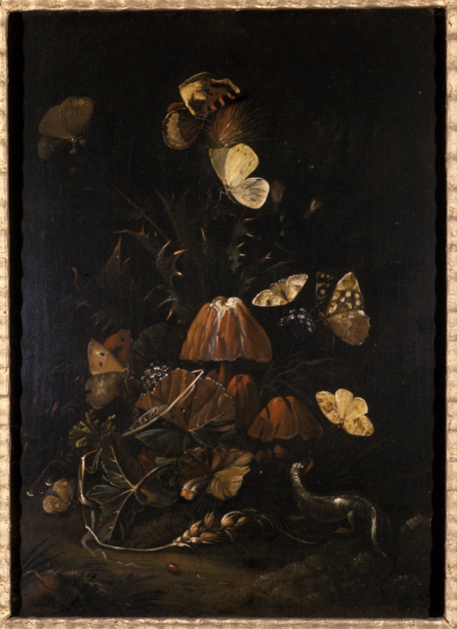 Virágok pillangóval és gyíkkal (olaj tölgyfára) alkotó: Johann Christian Thomas Winck
