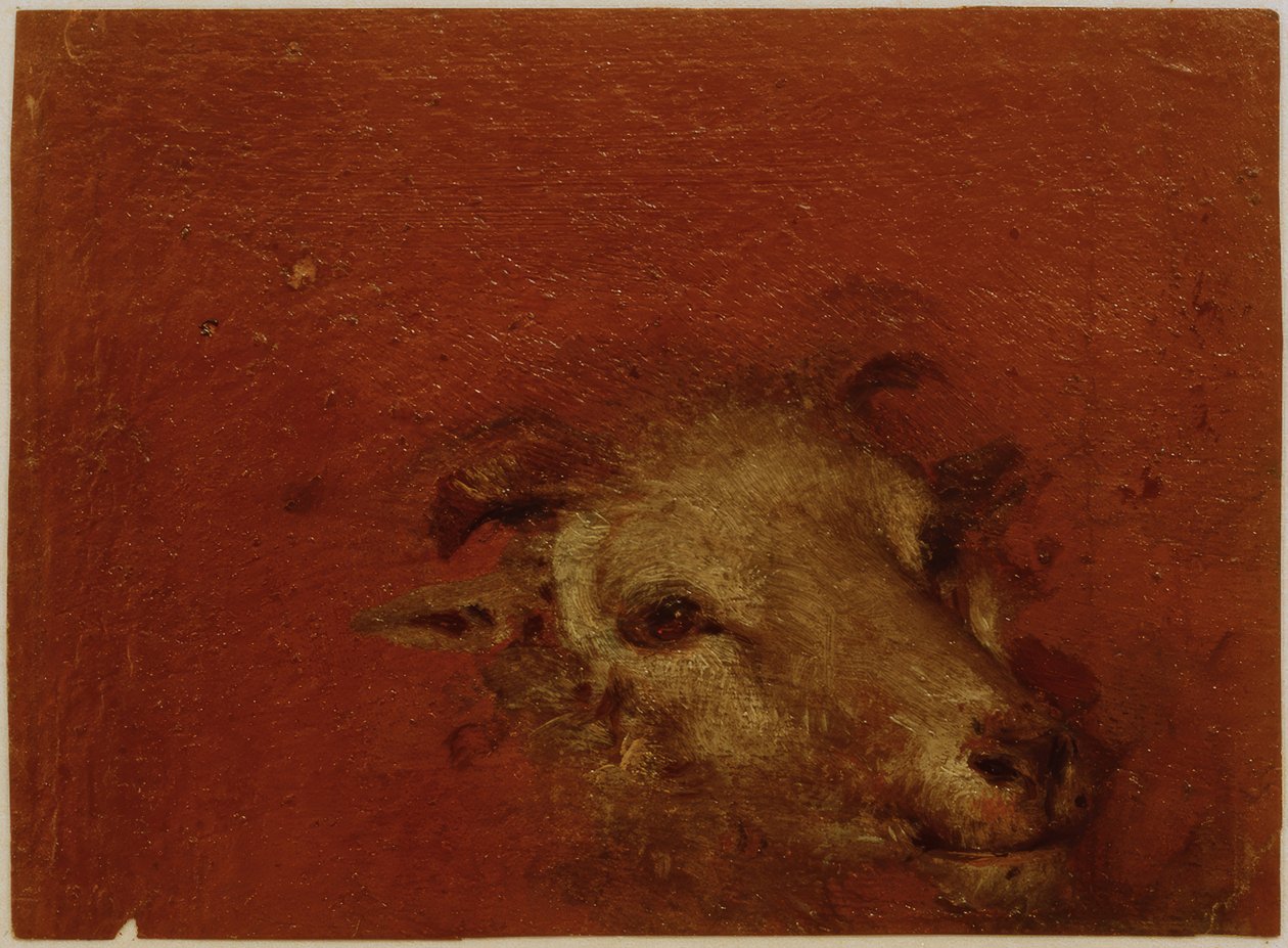 Kecskefej alkotó: Johann Conrad Seekatz