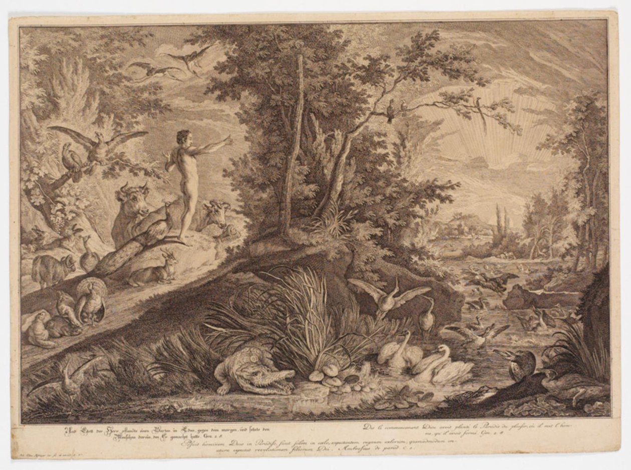 Adam i Edens megvan alkotó: Johann Elias Ridinger