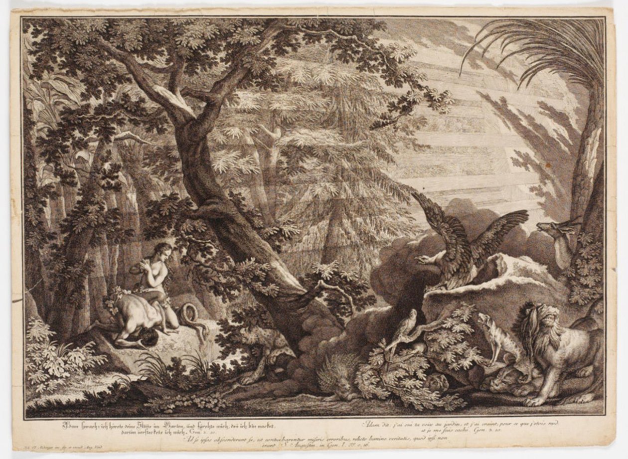 Ádám és Éva rájönnek, hogy meztelenek alkotó: Johann Elias Ridinger