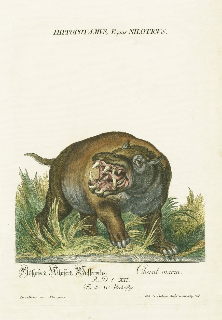  alkotó: Johann Elias Ridinger