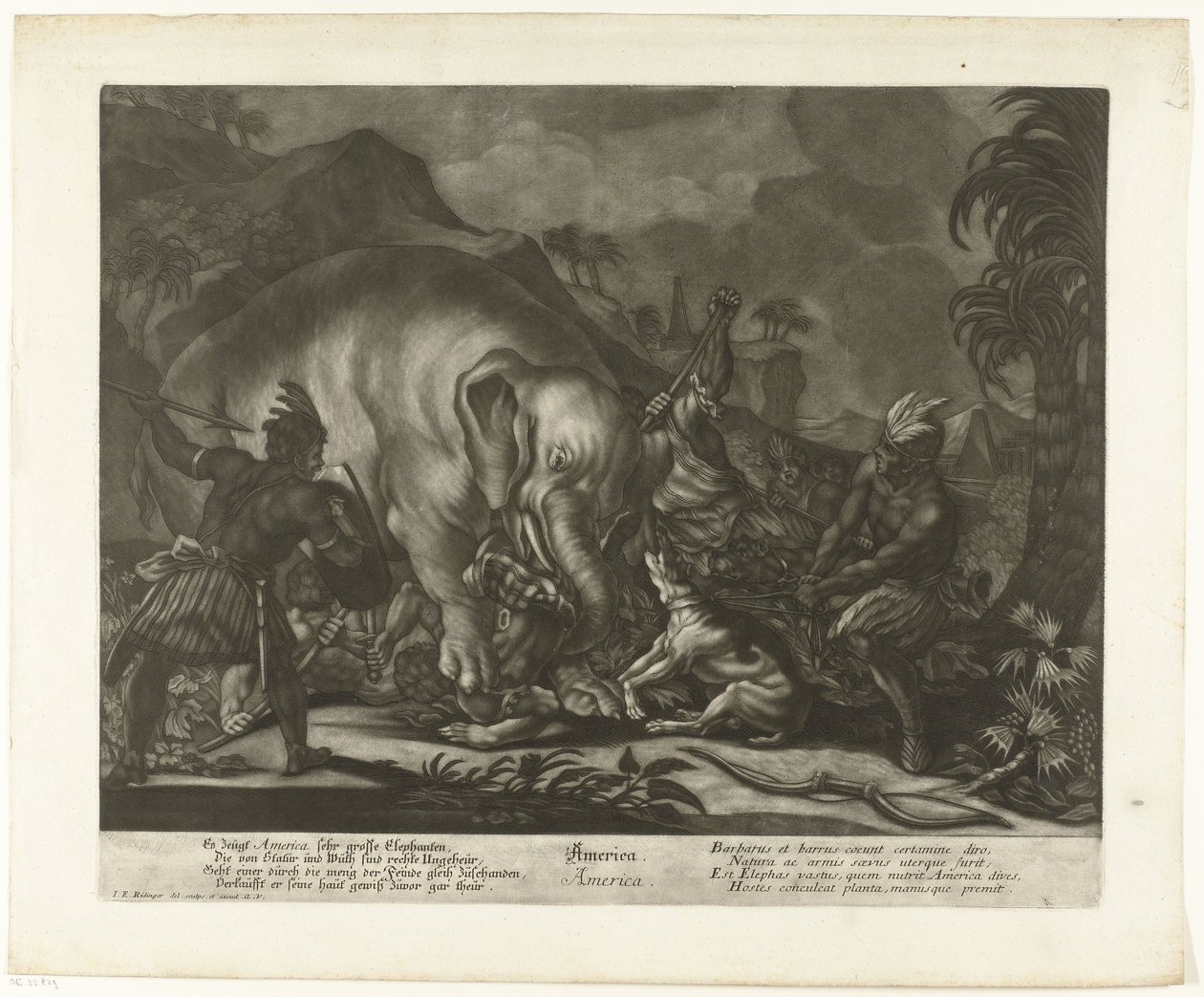 Elefántvadászat Amerika (cím a tárgyon) alkotó: Johann Elias Ridinger