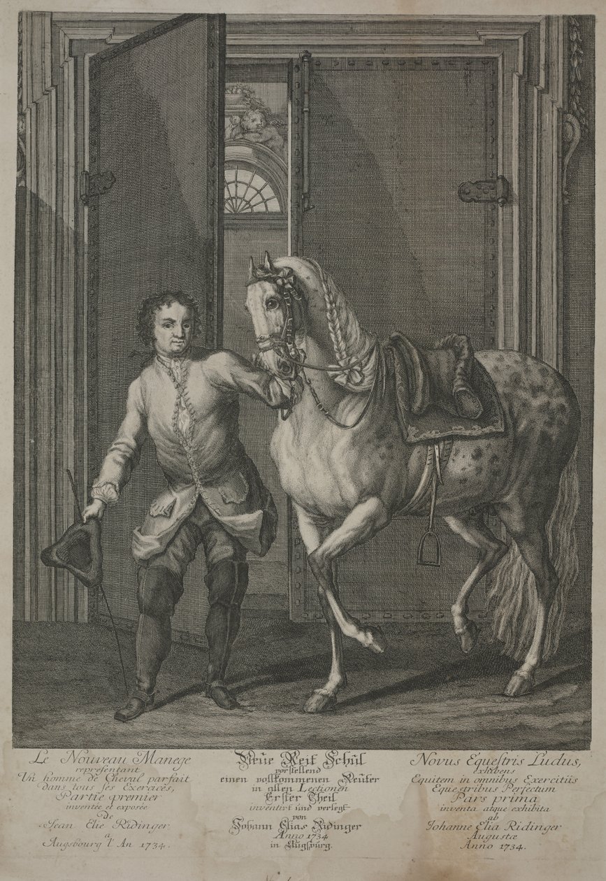 Új lovasiskola alkotó: Johann Elias Ridinger