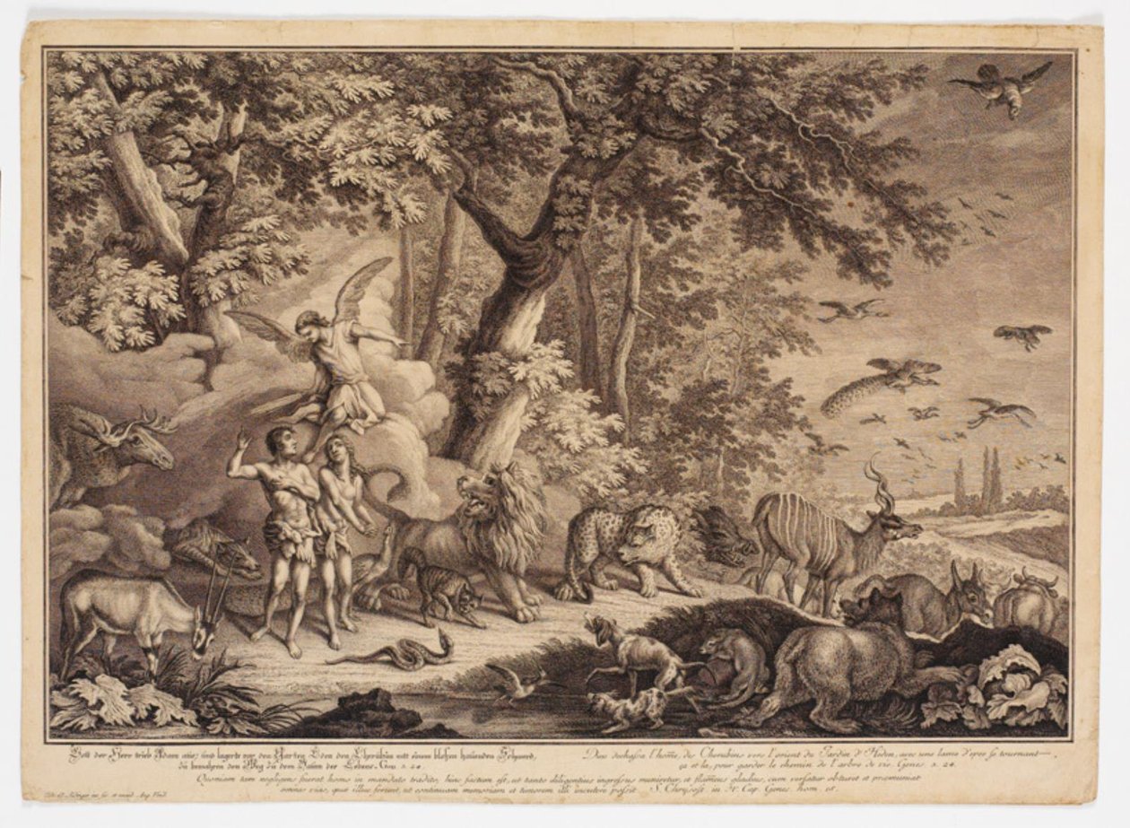Uddrivelsen fra paradiset   1277590   hu       hungarian Successfully Translated  Original: Plate 18, Yarrow, from A Curious Herbal Translat: Plate 18, Yarrow, from 