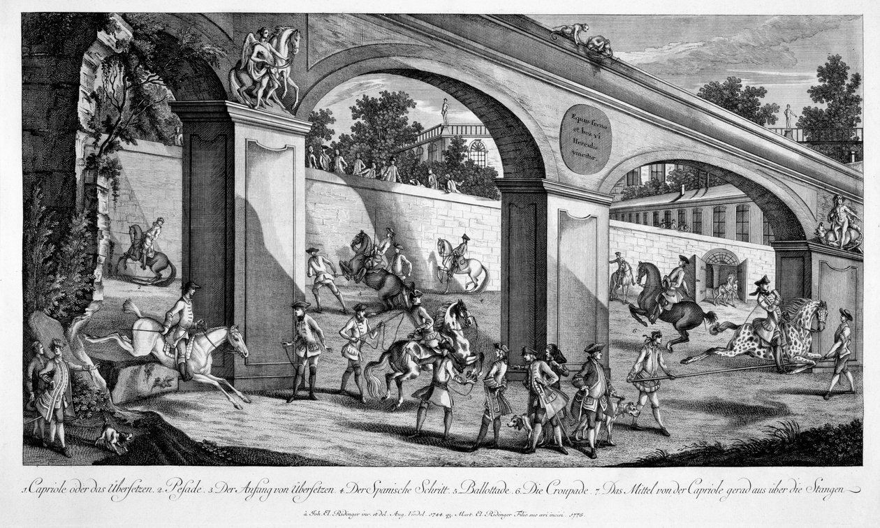 Lovak képzése lovassági szolgálatra, a "Le Nouveau Manege"-ből, 1776 alkotó: Johann Elias Ridinger or Riedinger