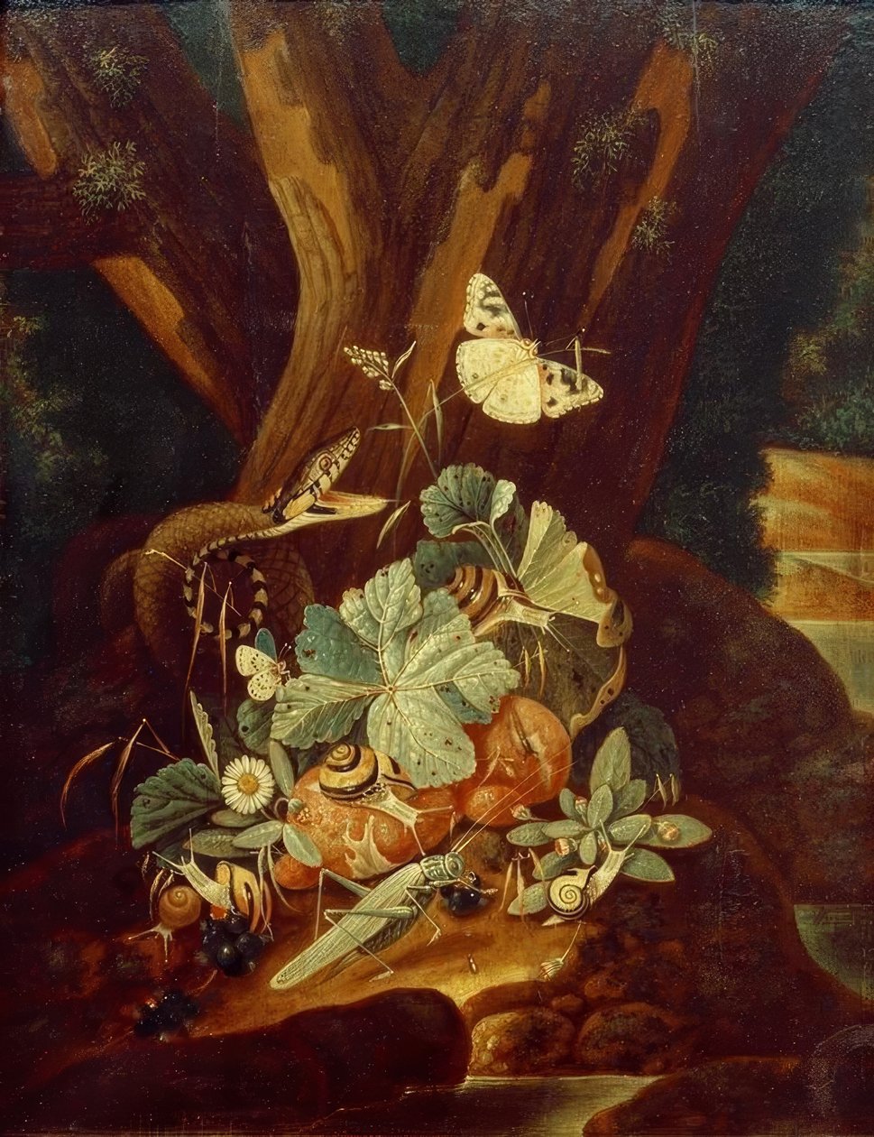Rovarok, csigák és kígyók alkotó: Johann Falch