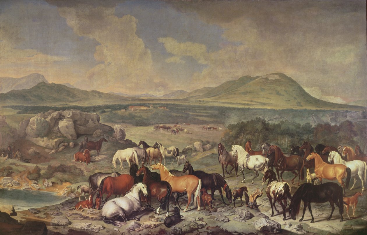 A birodalmi ménes lipicai lovakkal alkotó: Johann Georg Hamilton