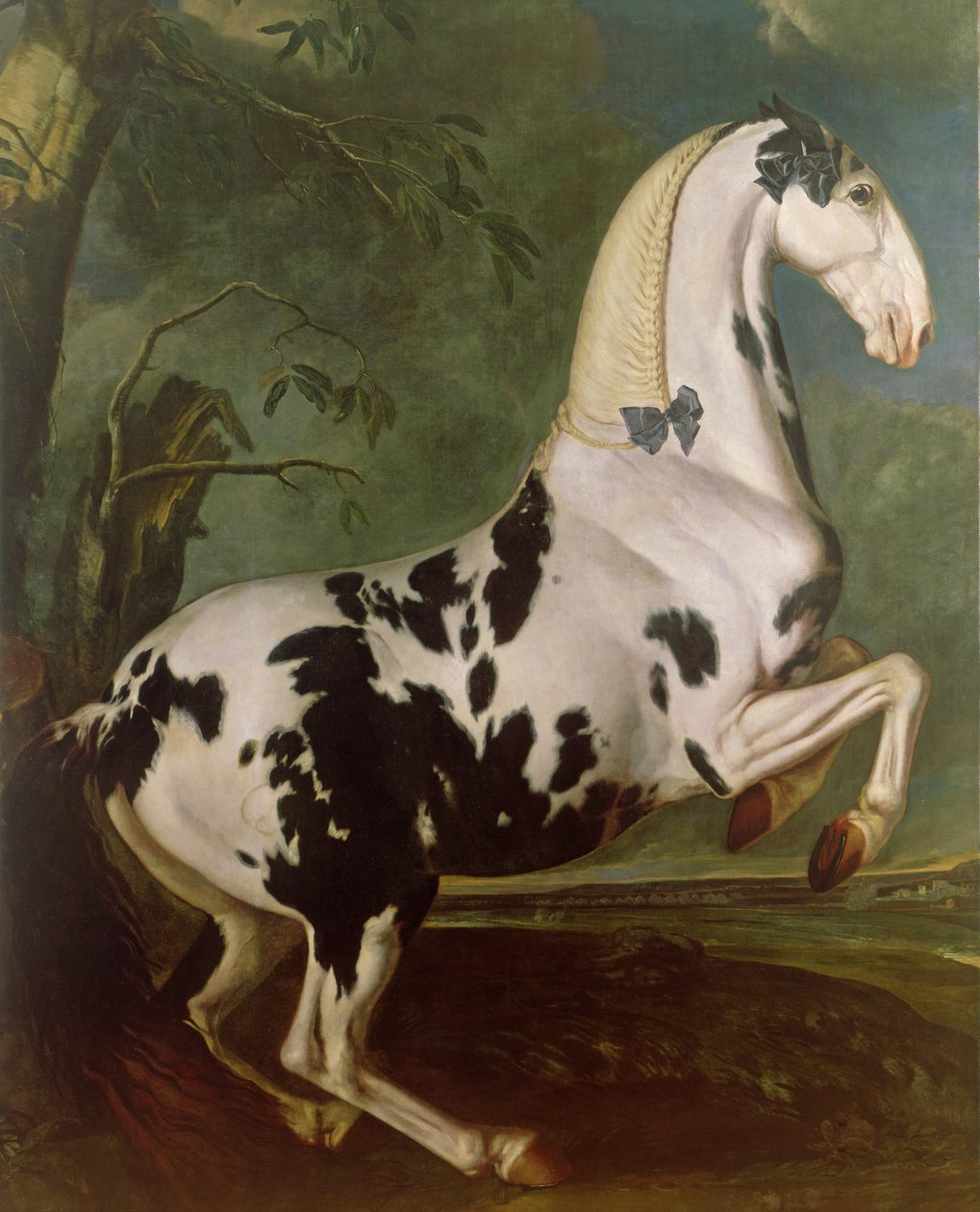 A Piebald mén az Eisgruber Ménesnél alkotó: Johann Georg Hamilton