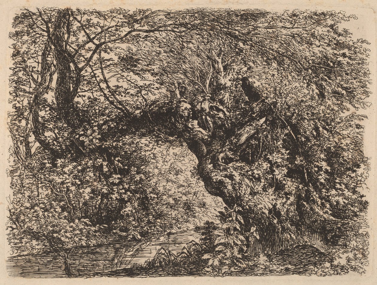 Egy vénfűz a patak mellett, 1793. alkotó: Johann Georg von Dillis