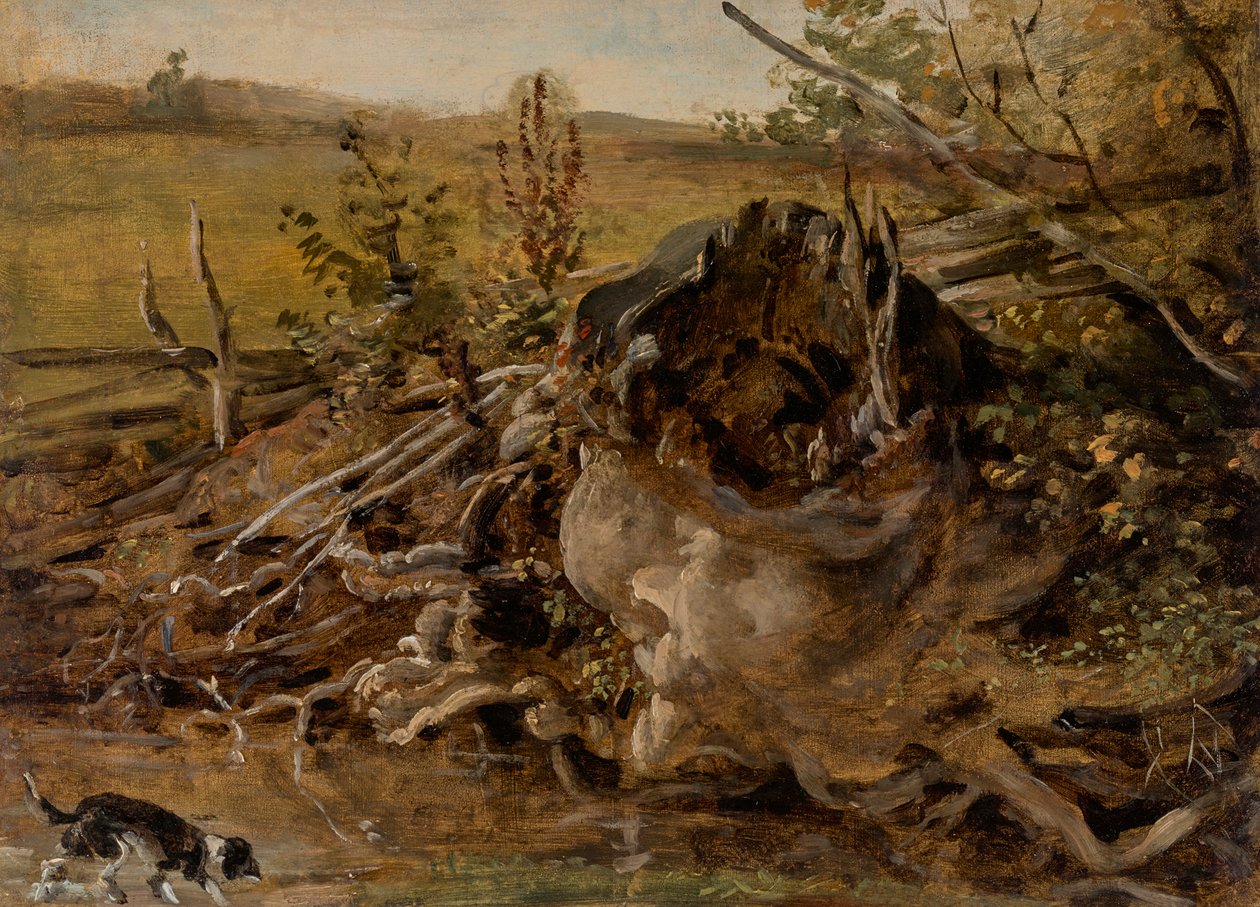 Korhadó fatönk és vadászkutya alkotó: Johann Georg von Dillis