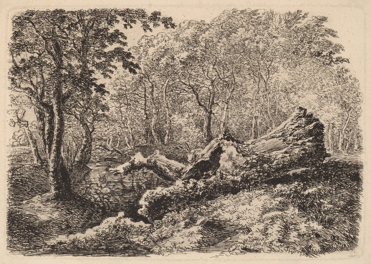Penészes fatörzs, 1794. alkotó: Johann Georg von Dillis