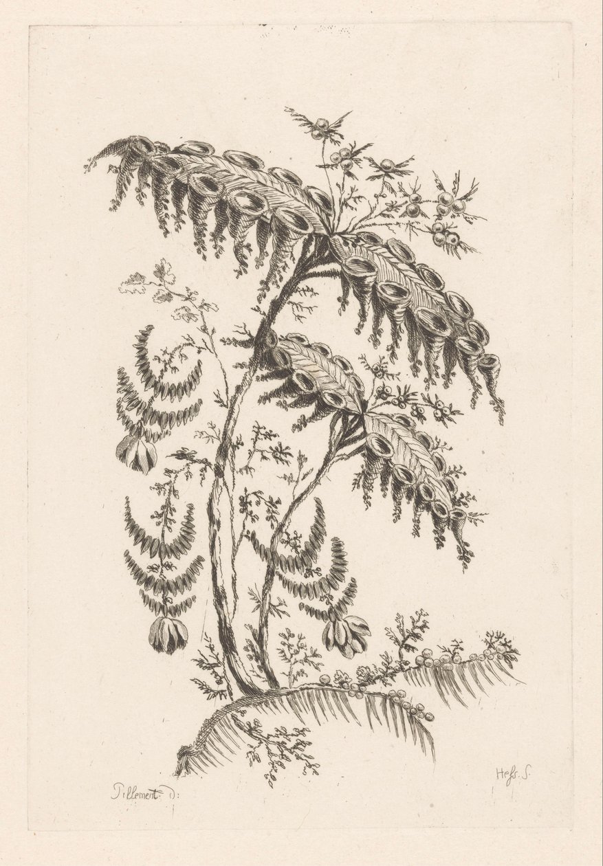 Levelei szarv alakúak Fleures Baroque (sorozat címe) alkotó: Johann Heinrich  Hess
