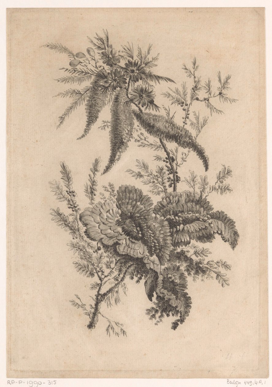 Wilde roosachtigen Új ízű virágok gyűjteménye; A Manufacture des Etoffes de Perse számára (sorozat címe) alkotó: Johann Heinrich  Hess