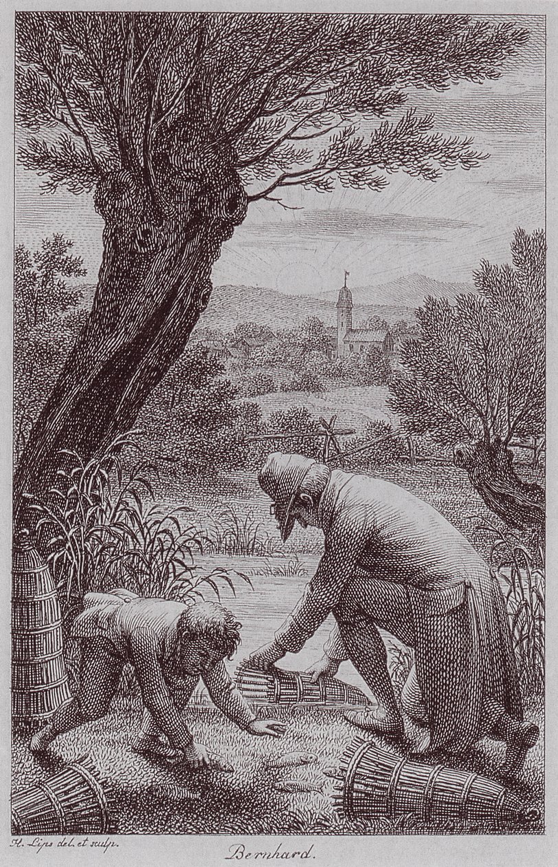 BernhardJHLipsi alkotó: Johann Heinrich Lips
