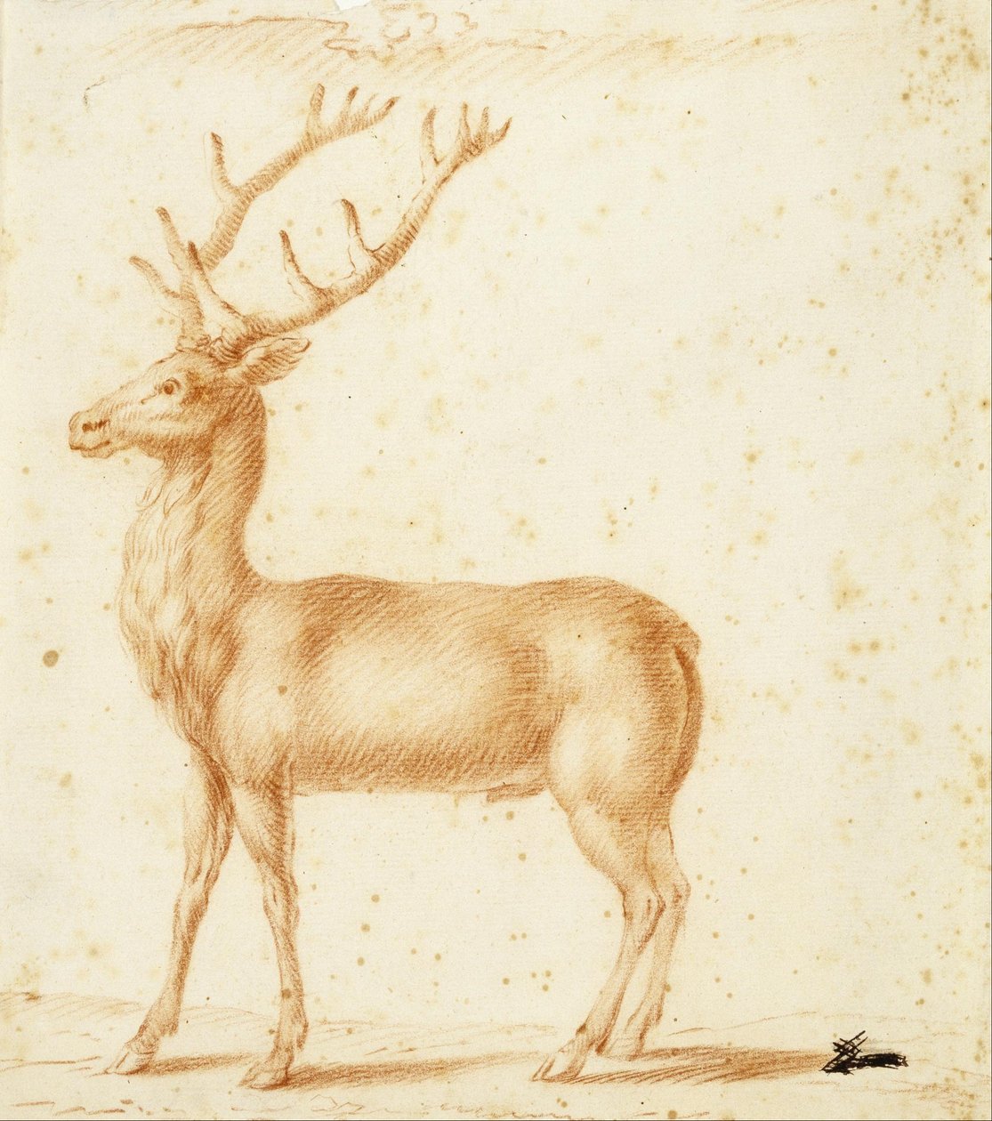 Egy szarvas alkotó: Johann Heinrich Roos