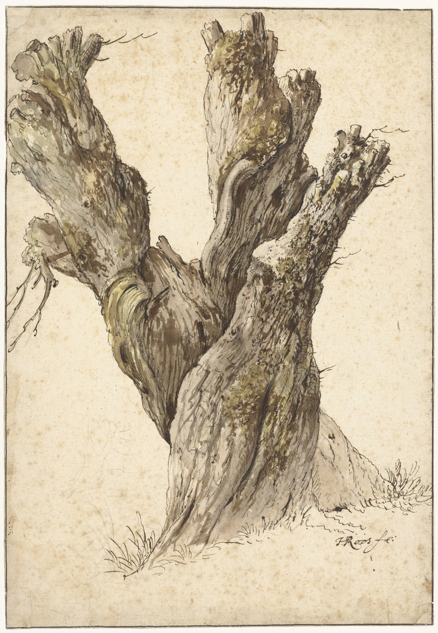 Fejelt fűzfa alkotó: Johann Heinrich Roos